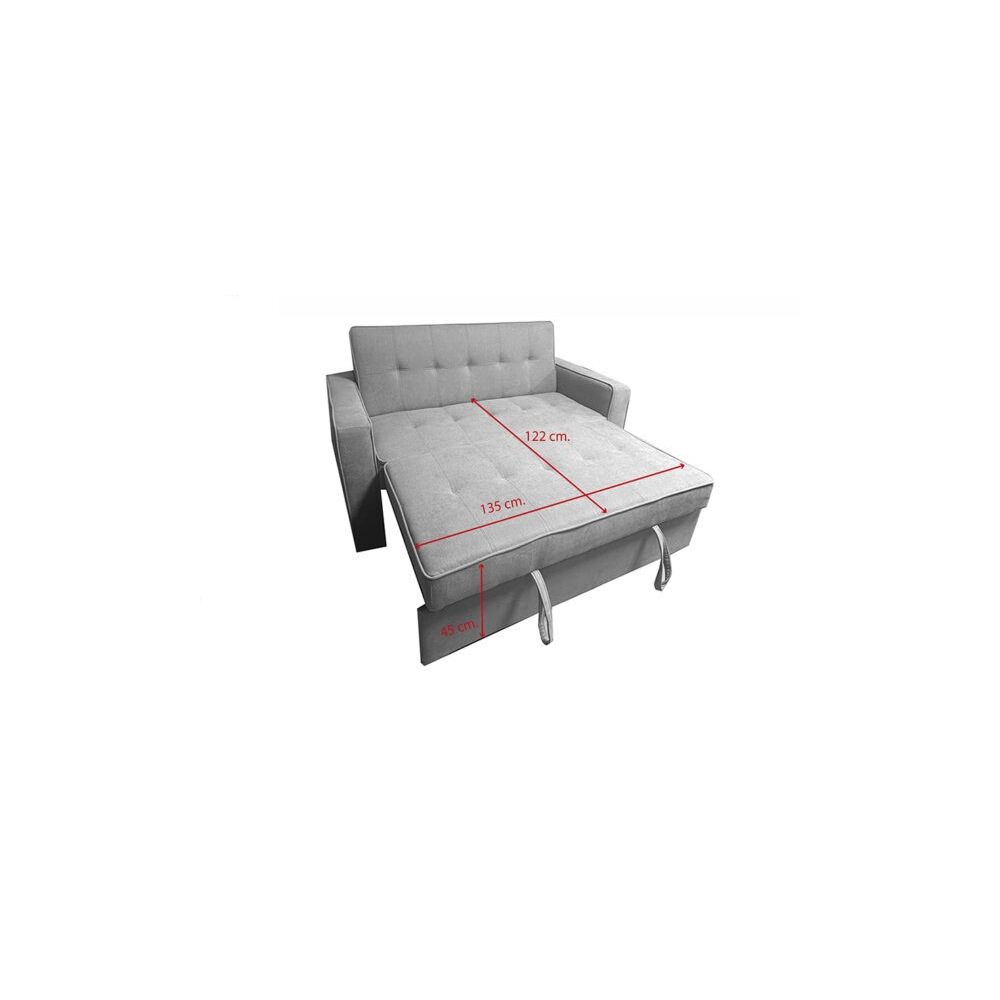 Sofá Cama 2 Plazas con Reposabrazos, Diseño Moderno y Elegante, Color Gris, 167x90x96,5 cm